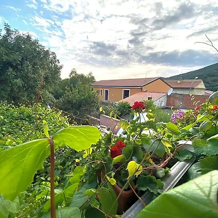 Bed & Breakfast Su Tostainu